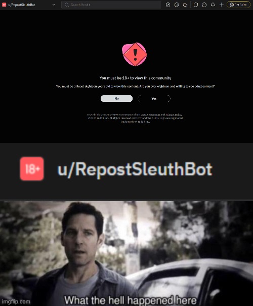 Why is the best bot now 18+ community | image tagged in what the hell happened here | made w/ Imgflip meme maker