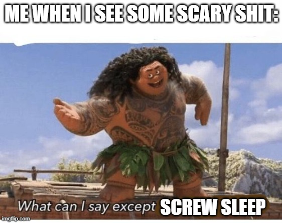 What can I say except you're welcome? | ME WHEN I SEE SOME SCARY SHIT:; SCREW SLEEP | image tagged in what can i say except you're welcome | made w/ Imgflip meme maker