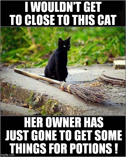 Black Cat Guarding Broom ! | I WOULDN'T GET TO CLOSE TO THIS CAT; HER OWNER HAS JUST GONE TO GET SOME THINGS FOR POTIONS ! | image tagged in cats,broom,witch | made w/ Imgflip meme maker