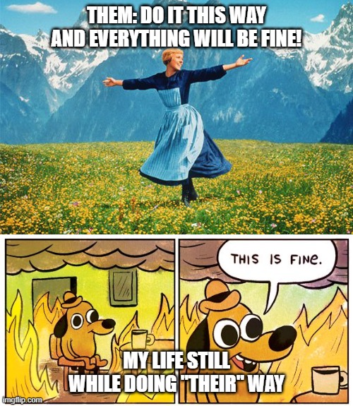 THEM: DO IT THIS WAY AND EVERYTHING WILL BE FINE! MY LIFE STILL WHILE DOING "THEIR" WAY | image tagged in woman in a field of flowers,memes,this is fine | made w/ Imgflip meme maker