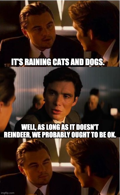 Rain | IT'S RAINING CATS AND DOGS. WELL, AS LONG AS IT DOESN'T REINDEER, WE PROBABLY OUGHT TO BE OK. | image tagged in memes,inception | made w/ Imgflip meme maker