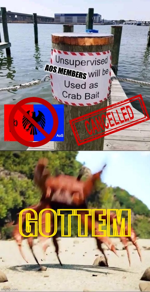 eyyy crab rave on ‘em | AOS MEMBERS; GOTTEM | image tagged in unsupervised children crab bait,crab rave,authority of steel,fascists,fascism,crab bait | made w/ Imgflip meme maker