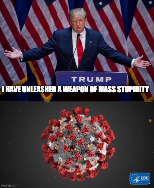 I HAVE UNLEASHED A WEAPON OF MASS STUPIDITY | image tagged in donald trump,covid 19 | made w/ Imgflip meme maker