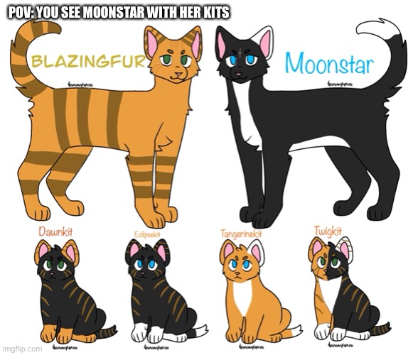 This rp takes place in the past when Speckledstar was leader of MoonClan. Moonstar was known as Moonstreak back then. | POV: YOU SEE MOONSTAR WITH HER KITS | made w/ Imgflip meme maker