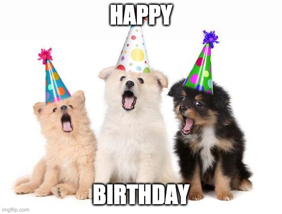 happy birthday puppies | HAPPY BIRTHDAY | image tagged in happy birthday puppies | made w/ Imgflip meme maker