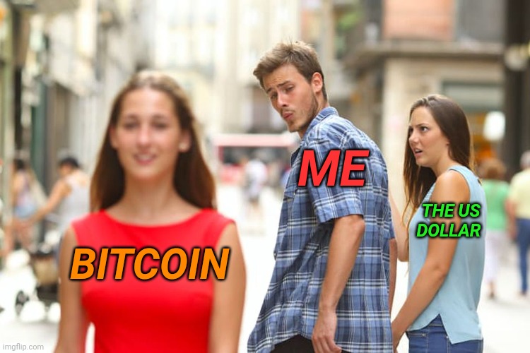 Distracted HODLER | ME; THE US DOLLAR; BITCOIN | image tagged in memes,distracted boyfriend,bitcoin,cryptocurrency,crypto | made w/ Imgflip meme maker