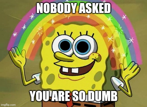 Imagination Spongebob Meme | NOBODY ASKED; YOU ARE SO DUMB | image tagged in memes,imagination spongebob | made w/ Imgflip meme maker