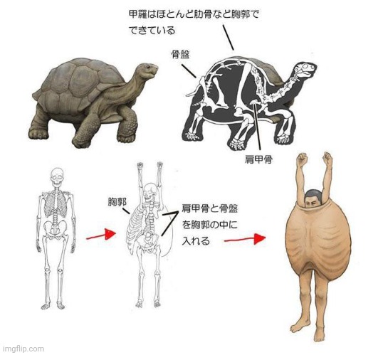 bruh wtf | made w/ Imgflip meme maker