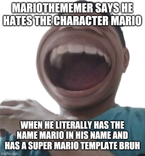 Ha | MARIOTHEMEMER SAYS HE HATES THE CHARACTER MARIO; WHEN HE LITERALLY HAS THE NAME MARIO IN HIS NAME AND HAS A SUPER MARIO TEMPLATE BRUH | image tagged in ha | made w/ Imgflip meme maker