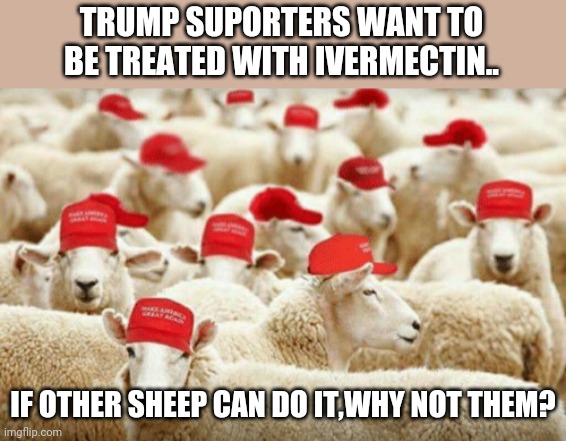 Invermectim for the sheeple | TRUMP SUPORTERS WANT TO BE TREATED WITH IVERMECTIN.. IF OTHER SHEEP CAN DO IT,WHY NOT THEM? | image tagged in trump,trump supporter,covidiots,covid,republican,pandemic | made w/ Imgflip meme maker