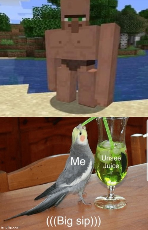 image tagged in unsee juice,minecraft villagers | made w/ Imgflip meme maker