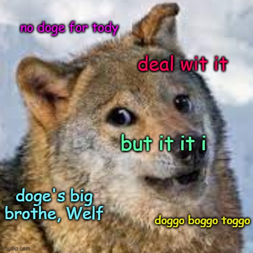 doggo boggo toggo | no doge for tody; deal wit it; but it it i; doge's big brothe, Welf; doggo boggo toggo | image tagged in doge,wolf,big brother | made w/ Imgflip meme maker