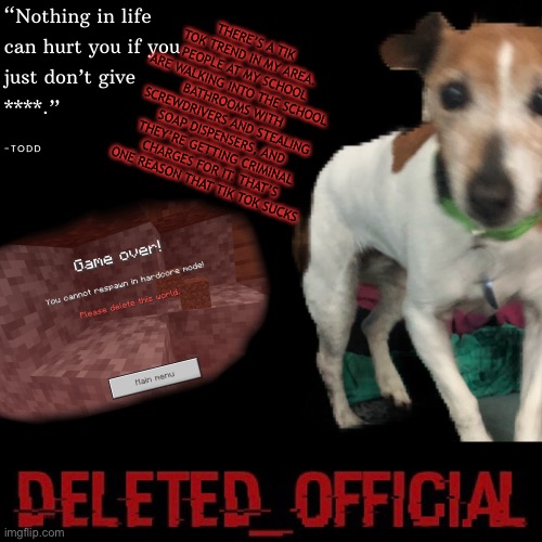 Deleted_official announcement template | THERE’S A TIK TOK TREND IN MY AREA. PEOPLE AT MY SCHOOL ARE WALKING INTO THE SCHOOL BATHROOMS WITH SCREWDRIVERS AND STEALING SOAP DISPENSERS, AND THEY’RE GETTING CRIMINAL CHARGES FOR IT. THAT’S ONE REASON THAT TIK TOK SUCKS | image tagged in deleted_official announcement template | made w/ Imgflip meme maker