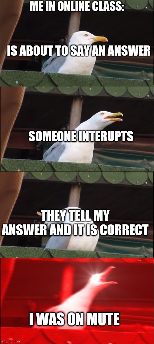 Inhaling Seagull | ME IN ONLINE CLASS:; IS ABOUT TO SAY AN ANSWER; SOMEONE INTERUPTS; THEY TELL MY ANSWER AND IT IS CORRECT; I WAS ON MUTE | image tagged in memes,inhaling seagull | made w/ Imgflip meme maker