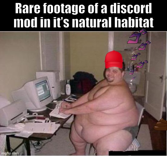 i funking hate myself |  Rare footage of a discord mod in it’s natural habitat | image tagged in really fat guy on computer,discord,mods,dank memes,memes,bruh | made w/ Imgflip meme maker