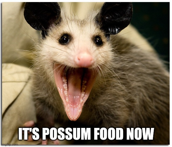Awesome Possum | IT'S POSSUM FOOD NOW | image tagged in awesome possum | made w/ Imgflip meme maker