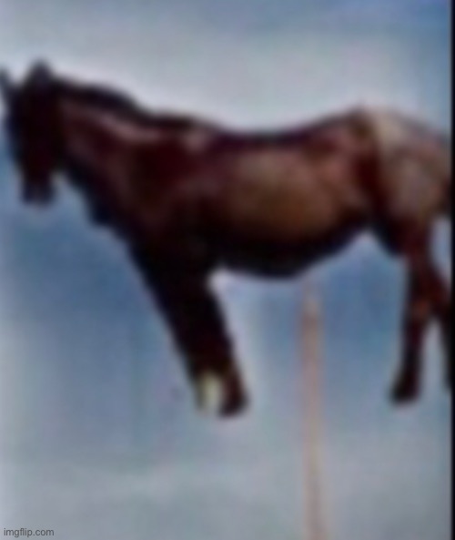 I must the D | image tagged in funny | made w/ Imgflip meme maker