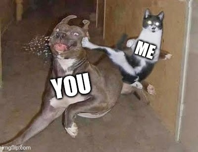 GET REKT | ME YOU | image tagged in get rekt | made w/ Imgflip meme maker