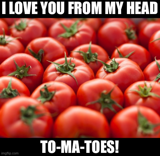 Love | I LOVE YOU FROM MY HEAD; TO-MA-TOES! | image tagged in bad pun | made w/ Imgflip meme maker