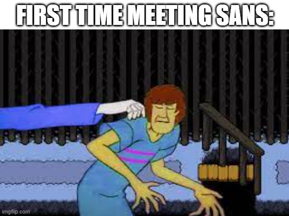 Like, don't touch me skeleton dude. | FIRST TIME MEETING SANS: | image tagged in shaggy,sans | made w/ Imgflip meme maker