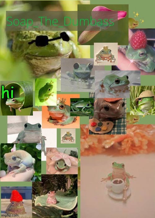 :/ | hi | image tagged in soap's frog temp | made w/ Imgflip meme maker