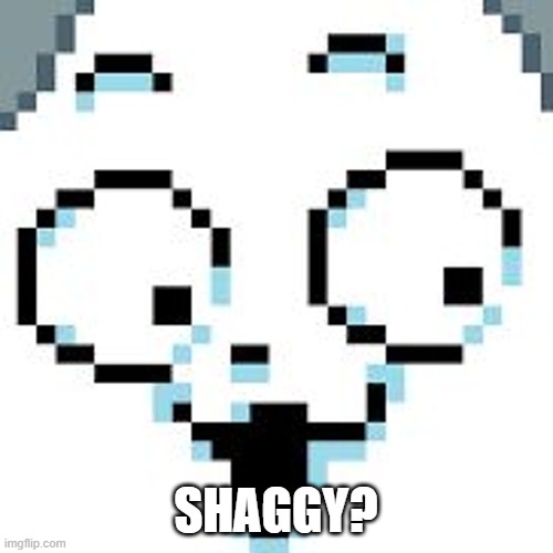 tEMMIE  | SHAGGY? | image tagged in temmie | made w/ Imgflip meme maker