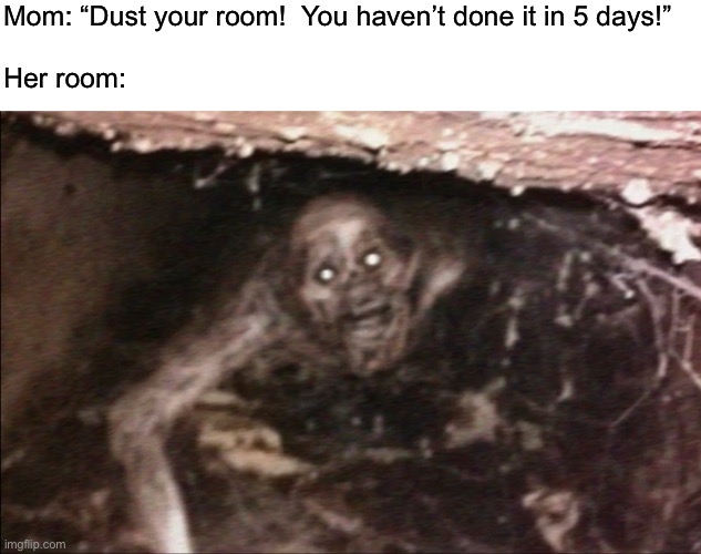 Bad meme day everyone | Mom: “Dust your room!  You haven’t done it in 5 days!”
 
Her room: | image tagged in funny | made w/ Imgflip meme maker