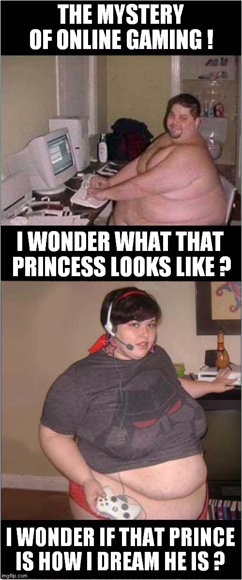 Great Expectations ! | THE MYSTERY OF ONLINE GAMING ! I WONDER WHAT THAT 
PRINCESS LOOKS LIKE ? I WONDER IF THAT PRINCE
IS HOW I DREAM HE IS ? | image tagged in online gaming,princess,prince,obese | made w/ Imgflip meme maker