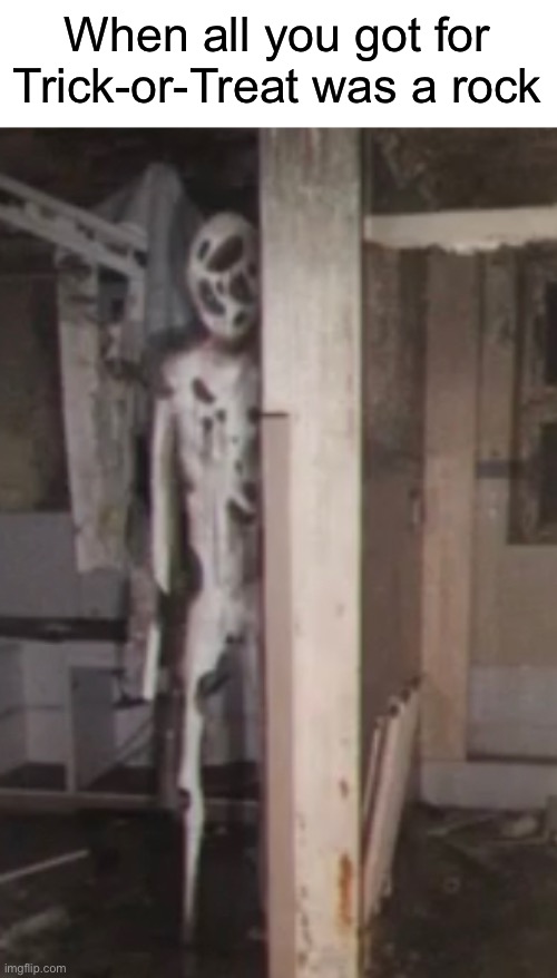 It’s the great pumpkin live-action reboot | When all you got for Trick-or-Treat was a rock | image tagged in funny | made w/ Imgflip meme maker