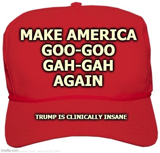 Trump is nuts, and taking the whole Republican Party with him. | MAKE AMERICA
GOO-GOO
GAH-GAH
AGAIN; TRUMP IS CLINICALLY INSANE | image tagged in blank red maga hat,maga,trump,insane,crazy,nuts | made w/ Imgflip meme maker