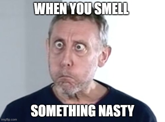 haha haha hahaaaaaaaaaaaaaaaaaaaaaaaaaaaaaaaaa | WHEN YOU SMELL; SOMETHING NASTY | image tagged in no breathing,funny,disgusting,why are you reading the tags,stop reading the tags,no more tags | made w/ Imgflip meme maker
