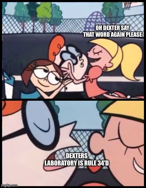 Say it Again, Dexter | OH DEXTER SAY THAT WORD AGAIN PLEASE; DEXTERS LABORATORY IS RULE 34'D | image tagged in memes,say it again dexter | made w/ Imgflip meme maker