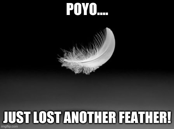 POYO.... JUST LOST ANOTHER FEATHER! | made w/ Imgflip meme maker