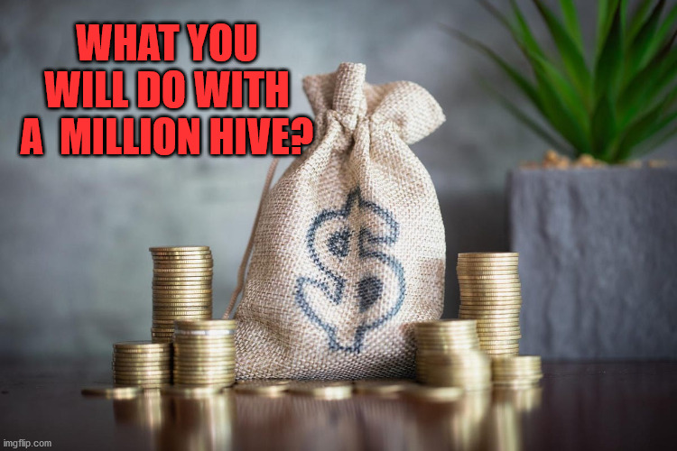 what will do with 1 mllion hive ? | WHAT YOU WILL DO WITH A  MILLION HIVE? | image tagged in hive,memes,funny,money,crypto,cryptocurrency | made w/ Imgflip meme maker