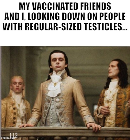 Ivermectin testcles | MY VACCINATED FRIENDS AND I, LOOKING DOWN ON PEOPLE WITH REGULAR-SIZED TESTICLES... | image tagged in covid-19 | made w/ Imgflip meme maker