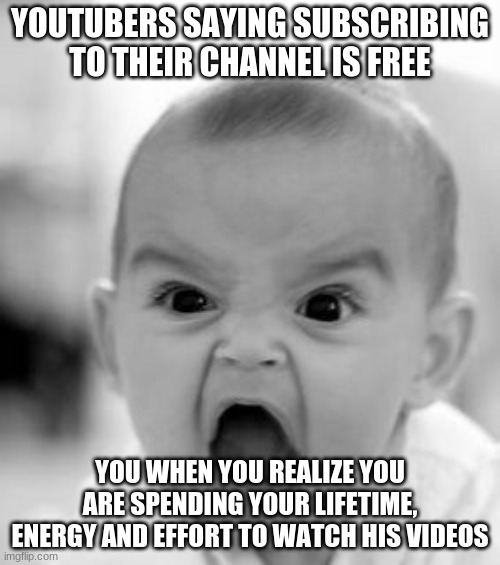 Angry Baby | YOUTUBERS SAYING SUBSCRIBING TO THEIR CHANNEL IS FREE; YOU WHEN YOU REALIZE YOU ARE SPENDING YOUR LIFETIME, ENERGY AND EFFORT TO WATCH HIS VIDEOS | image tagged in memes,angry baby | made w/ Imgflip meme maker