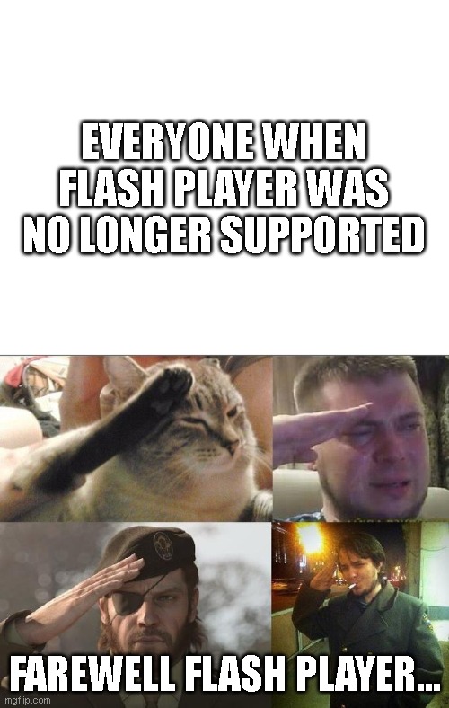 i cant be the only one who relates | EVERYONE WHEN FLASH PLAYER WAS NO LONGER SUPPORTED; FAREWELL FLASH PLAYER... | image tagged in ozon's salute | made w/ Imgflip meme maker