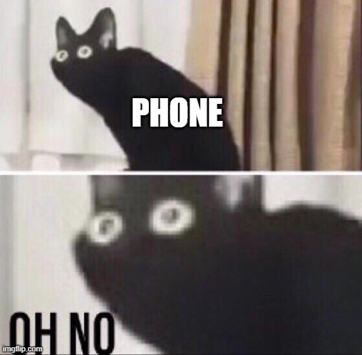 Oh no cat | PHONE | image tagged in oh no cat | made w/ Imgflip meme maker
