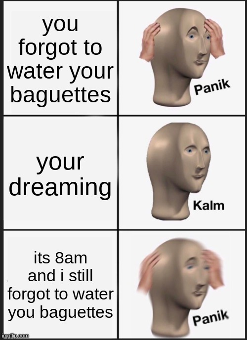 my poor baguettes | you forgot to water your baguettes; your dreaming; its 8am and i still forgot to water you baguettes | image tagged in memes,panik kalm panik | made w/ Imgflip meme maker