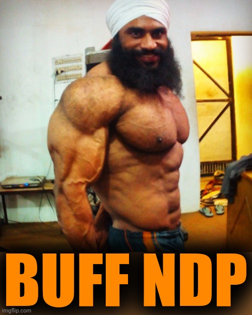 Sikh | BUFF NDP | image tagged in sikh | made w/ Imgflip meme maker