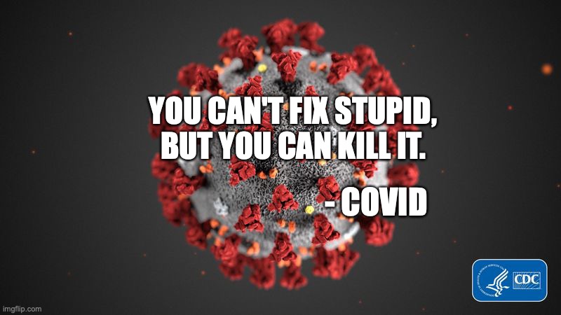 pro vax | YOU CAN'T FIX STUPID, BUT YOU CAN KILL IT. - COVID | image tagged in covid 19 | made w/ Imgflip meme maker