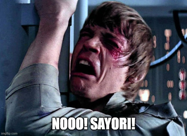 Nooo | NOOO! SAYORI! | image tagged in nooo | made w/ Imgflip meme maker