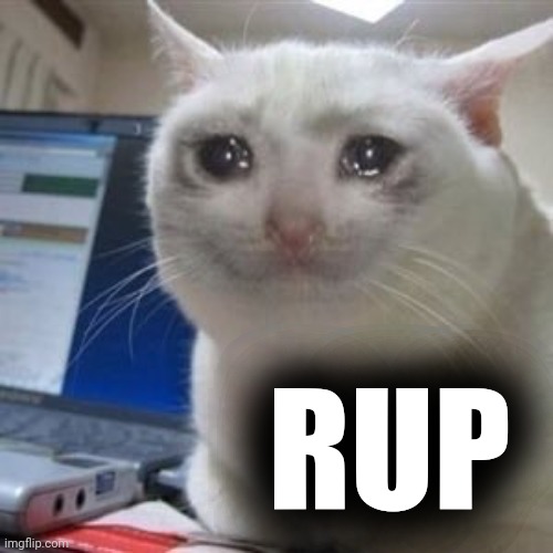 Sad cat tears | RUP | image tagged in sad cat tears | made w/ Imgflip meme maker