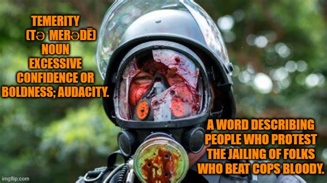 Some 1,000 assaults on cops were recorded at the Tangerine Tyrant's Jan 6 Riot. | TEMERITY      (TƏˈMERƏDĒ)
NOUN
EXCESSIVE CONFIDENCE OR BOLDNESS; AUDACITY. A WORD DESCRIBING PEOPLE WHO PROTEST THE JAILING OF FOLKS WHO BEAT COPS BLOODY. | image tagged in politics | made w/ Imgflip meme maker