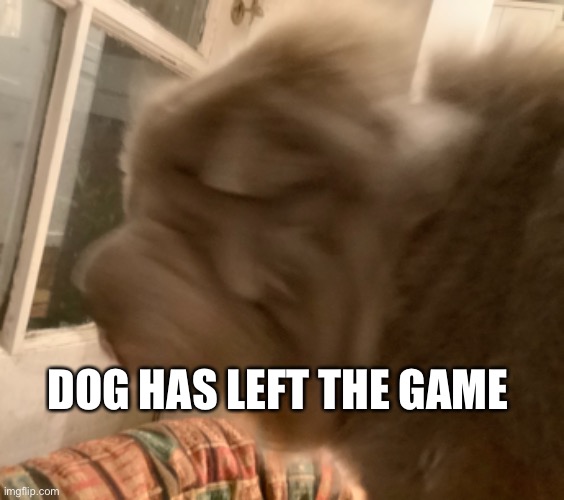 How to make a dead meme, a dog meme | DOG HAS LEFT THE GAME | made w/ Imgflip meme maker