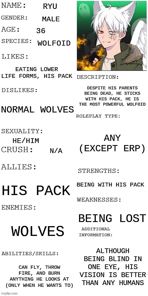 doing a different one bc I didn't like the first one I did (for OC contest) | RYU; MALE; 36; WOLFOID; EATING LOWER LIFE FORMS, HIS PACK; DESPITE HIS PARENTS BEING DEAD, HE STICKS WITH HIS PACK, HE IS THE MOST POWERFUL WOLFOID; NORMAL WOLVES; ANY (EXCEPT ERP); HE/HIM; N/A; BEING WITH HIS PACK; HIS PACK; BEING LOST; WOLVES; ALTHOUGH BEING BLIND IN ONE EYE, HIS VISION IS BETTER THAN ANY HUMANS; CAN FLY, THROW FIRE, AND BURN ANYTHING HE LOOKS AT (ONLY WHEN HE WANTS TO) | image tagged in updated roleplay oc showcase,oc contest | made w/ Imgflip meme maker