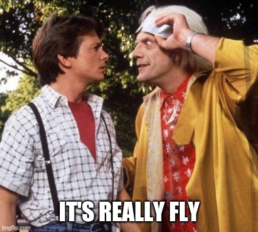 Doc Brown Marty Mcfly | IT'S REALLY FLY | image tagged in doc brown marty mcfly | made w/ Imgflip meme maker