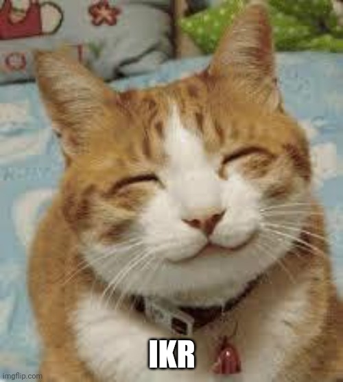 Happy cat | IKR | image tagged in happy cat | made w/ Imgflip meme maker