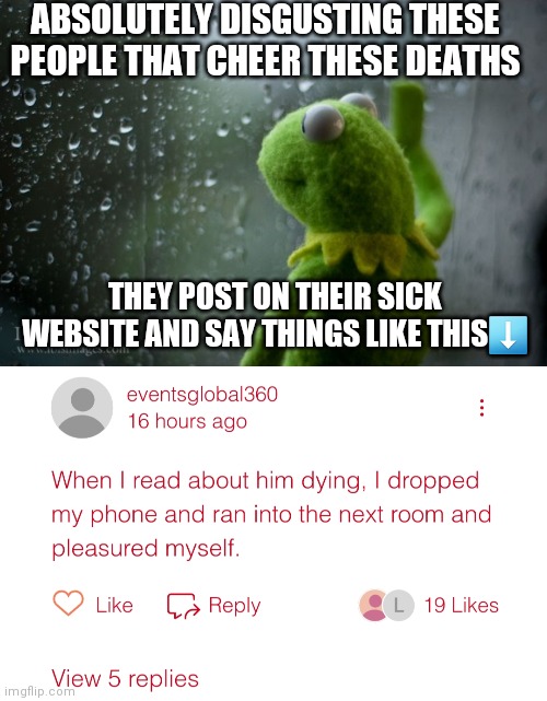 ABSOLUTELY DISGUSTING THESE PEOPLE THAT CHEER THESE DEATHS THEY POST ON THEIR SICK WEBSITE AND SAY THINGS LIKE THIS⬇️ | image tagged in kermit window | made w/ Imgflip meme maker