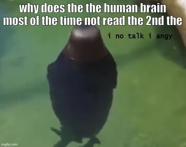 no talkie | why does the the human brain most of the time not read the 2nd the | image tagged in no talkie | made w/ Imgflip meme maker